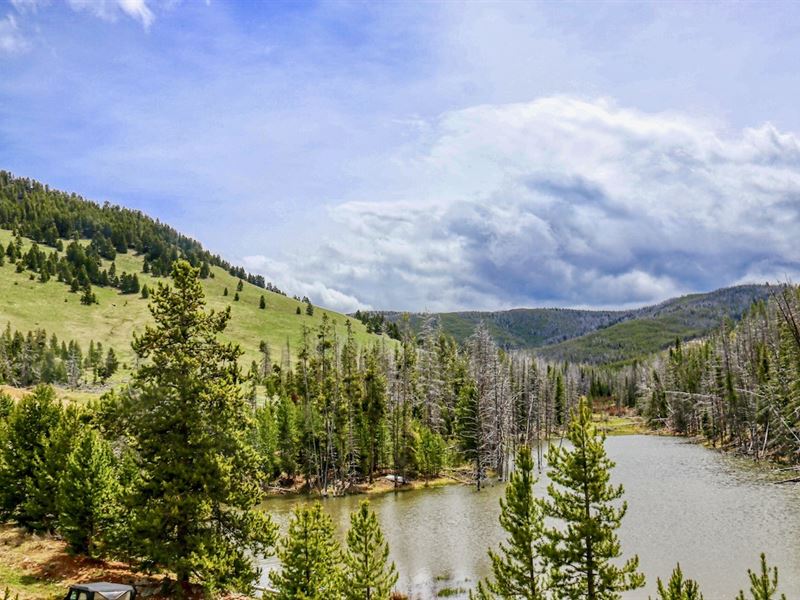 Dry Cottonwood Sapphire Ranch : Warm Springs : Deer Lodge County : Montana