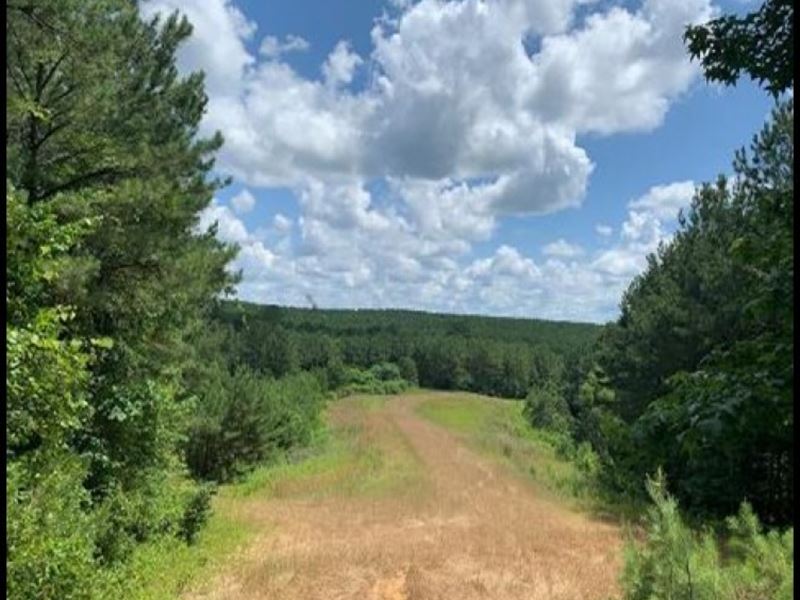 500 Acres in Adams County in Roxie : Roxie : Adams County : Mississippi