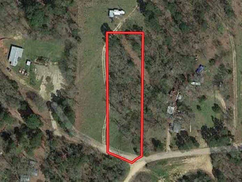 1 Acre in Camp County, Texas : Leesburg : Camp County : Texas