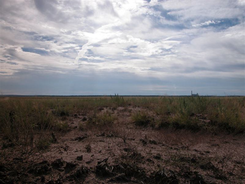 Beautiful Lot for Only $79 : Holbrook : Navajo County : Arizona