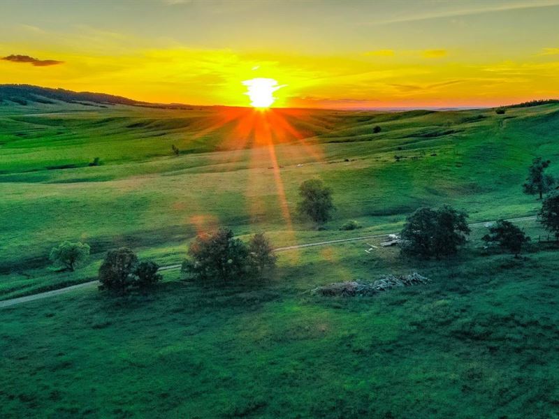 Pittman Developement Land : Whitewood : Lawrence County : South Dakota