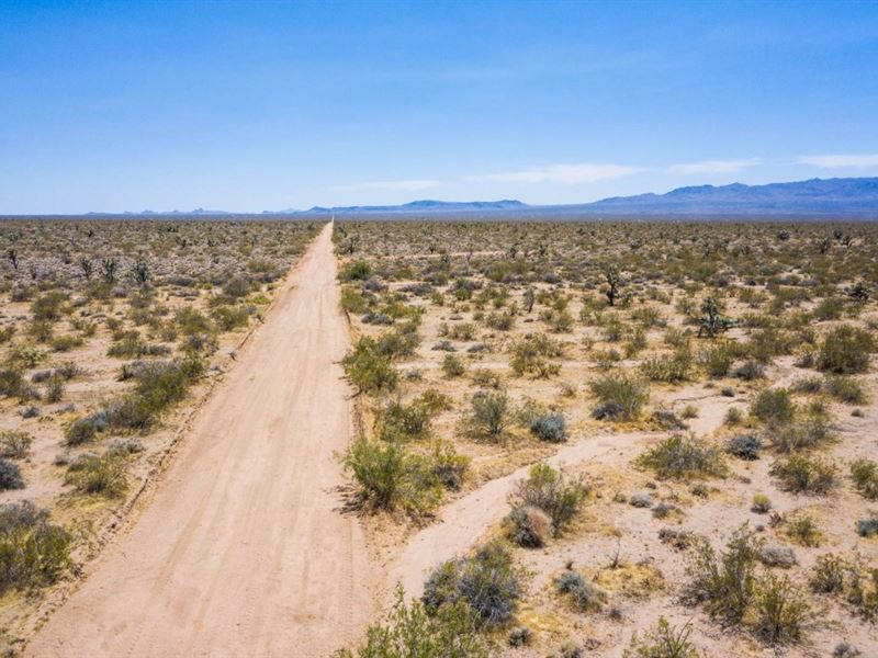Owner Finance, Desert Playground : Lake Havasu City : Mohave County : Arizona
