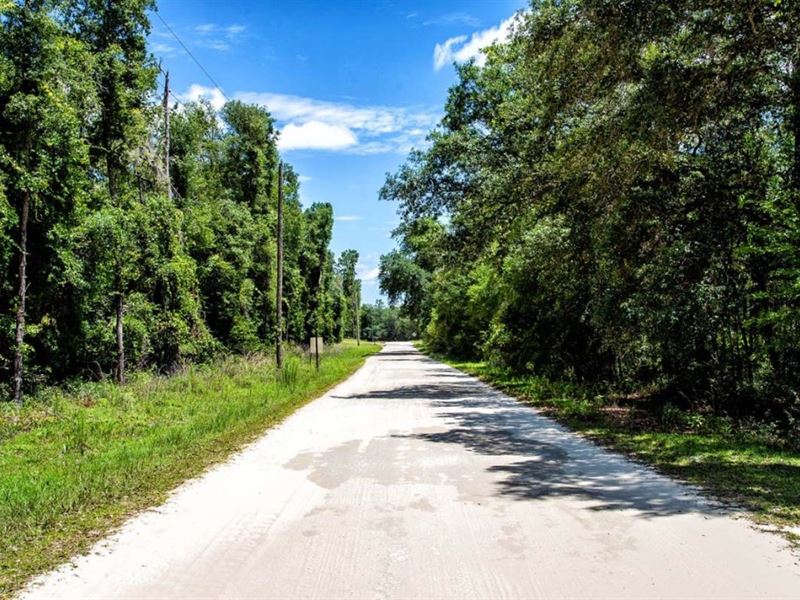Owner Finance, Mobile Okay, Reduced : Archer : Levy County : Florida