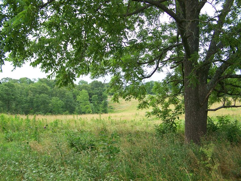 Arkansas Timber & Pasture Land : Marshall : Searcy County : Arkansas