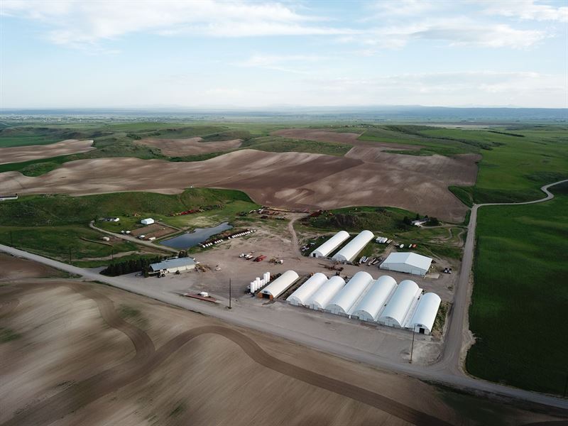 Court Ordered Potato Farm Land : Ashton : Fremont County : Idaho