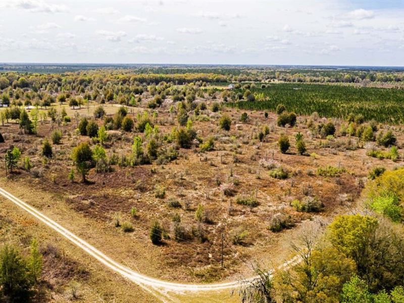 Mobile Home Friendly, Owner Finance : Live Oak : Suwannee County : Florida
