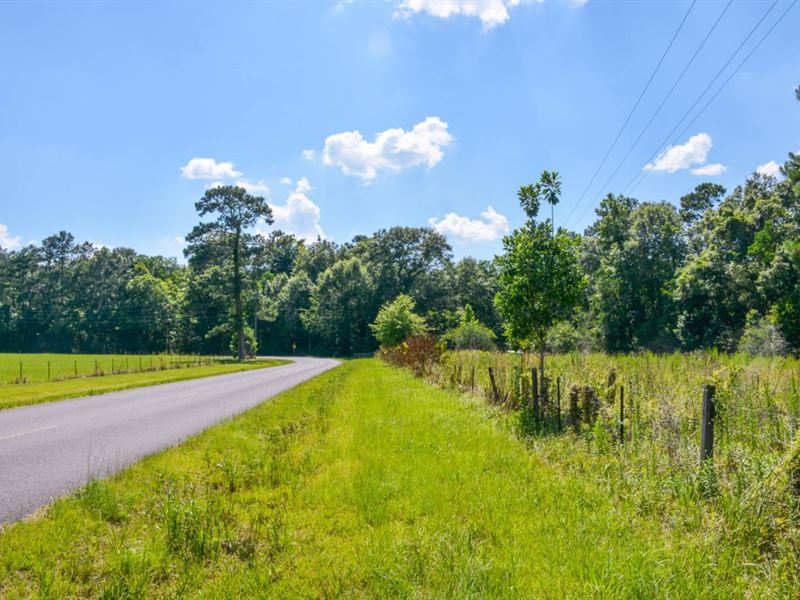 Mobile Home Friendly, Owner Finance : Loranger : Tangipahoa Parish : Louisiana