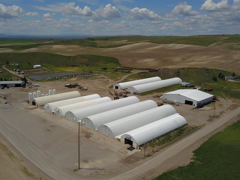 Court Ordered Farmland Auction : Ashton : Fremont County : Idaho