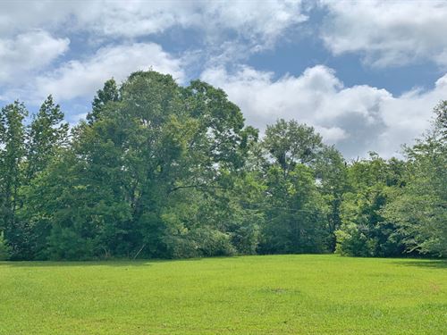 Butler Springs Tract : Forest Home : Butler County : Alabama