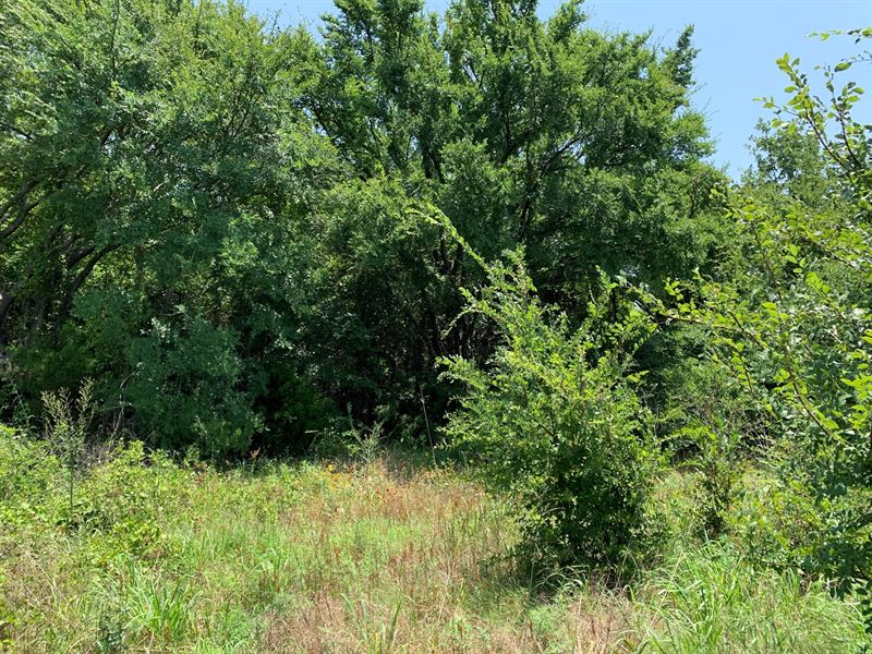 Wooded Acreage, Close To Lake, Land for Sale in Oklahoma, 246521