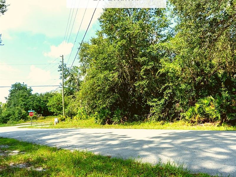 .26 Acres Only $1Dn, $199/Mo : Lake Placid : Highlands County : Florida