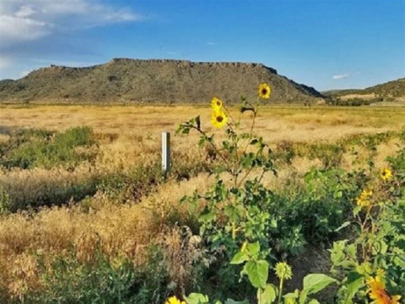 Awesome 5 Acre with Power +A12-80 : Fort Garland : Costilla County : Colorado