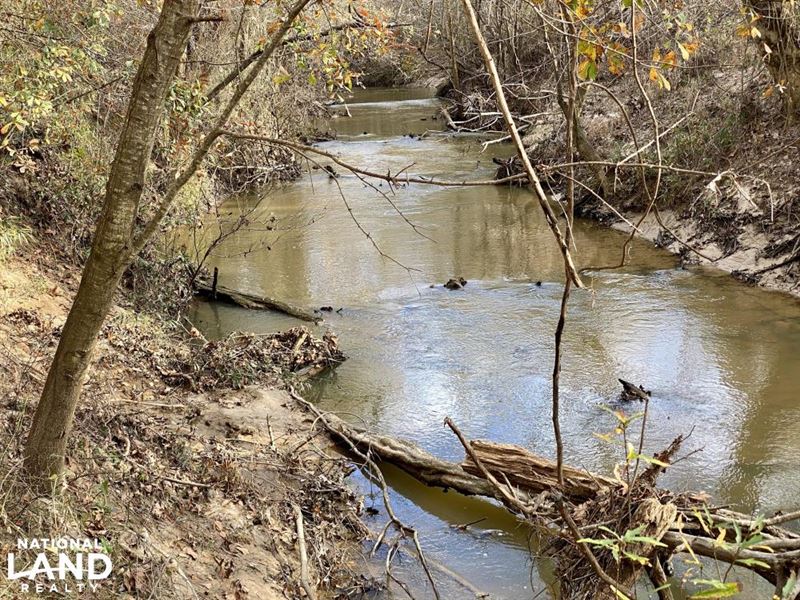 Beaver Creek Camp, Timber, and Hunt : Linden : Marengo County : Alabama