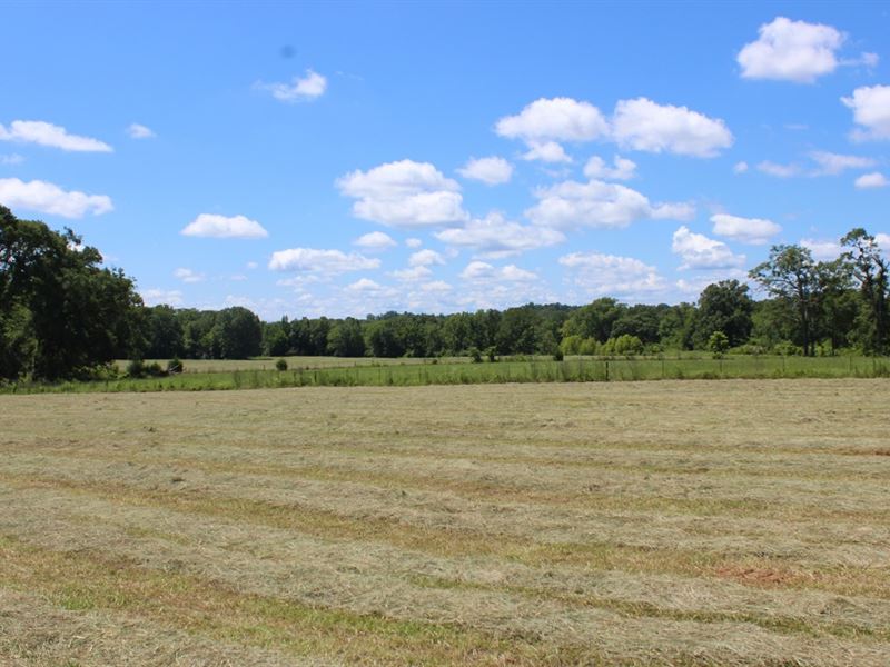 Bar-S Ranch and Cattle Farm : Washington : Wilkes County : Georgia