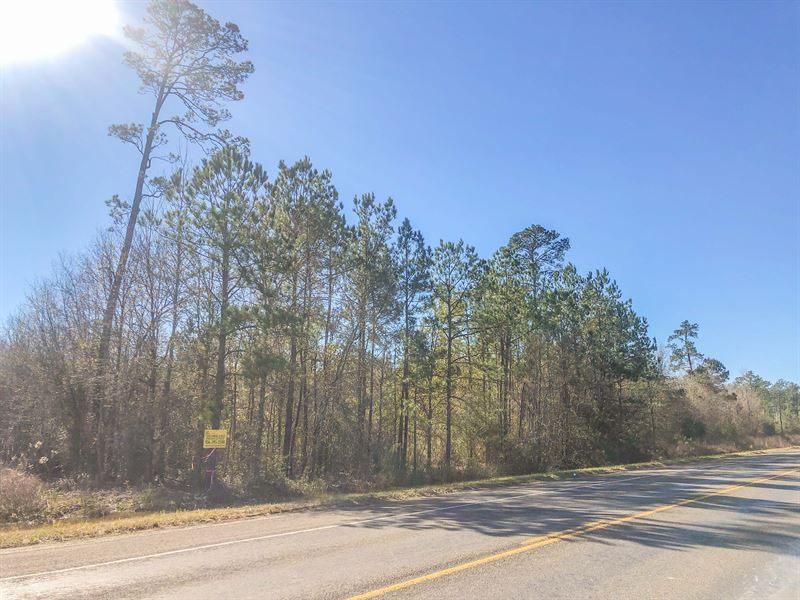 98 Acres Hwy 326 : Kountze : Hardin County : Texas