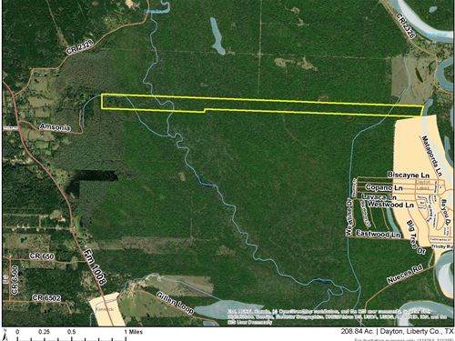 208 Ac E of FM 1008 Tract 311084-85 : Dayton : Liberty County : Texas