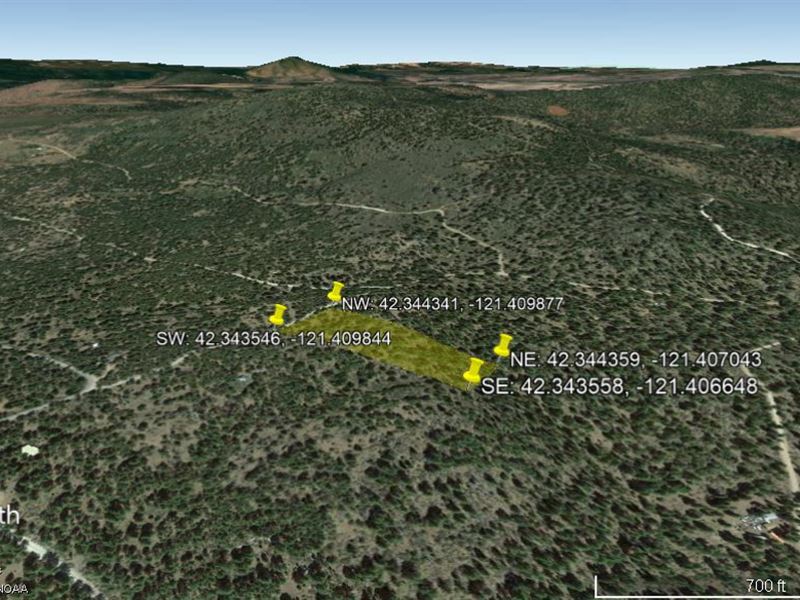 Build Your Own Ponderosa in Bonanza : Bonanza : Klamath County : Oregon