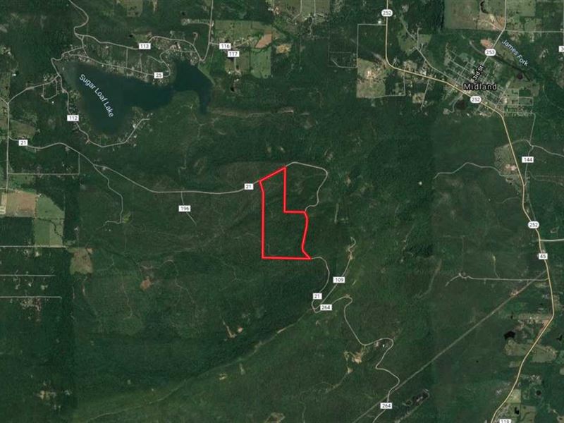 155 Acres Sugarloaf Mountain Sebas : Midland : Sebastian County : Arkansas