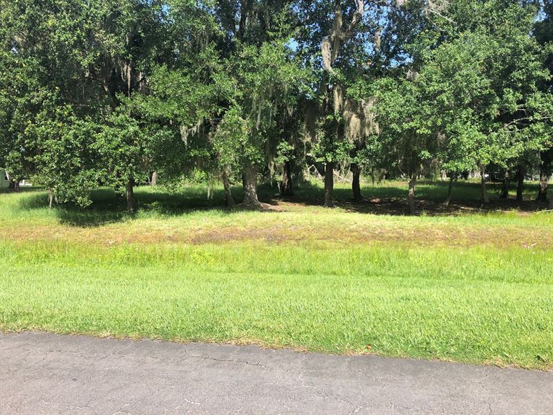 1 Acre Lot, Build Your Dream Home : Lake Wales : Polk County : Florida