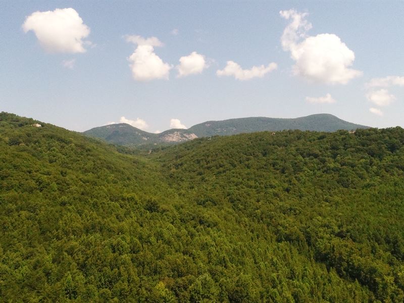 Private Mountain Retreat : Pumpkintown : Pickens County : South Carolina
