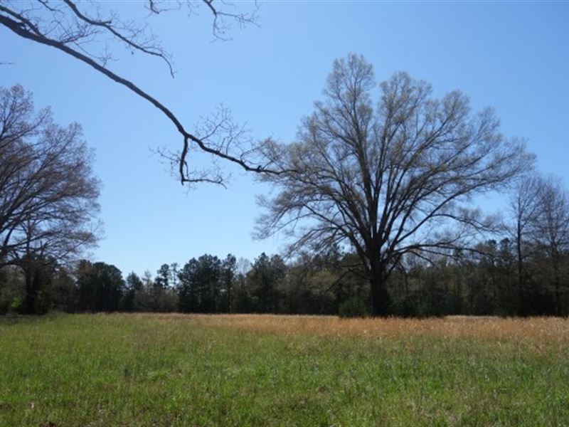 Town and Country Atmosphere : Rock Hill : York County : South Carolina