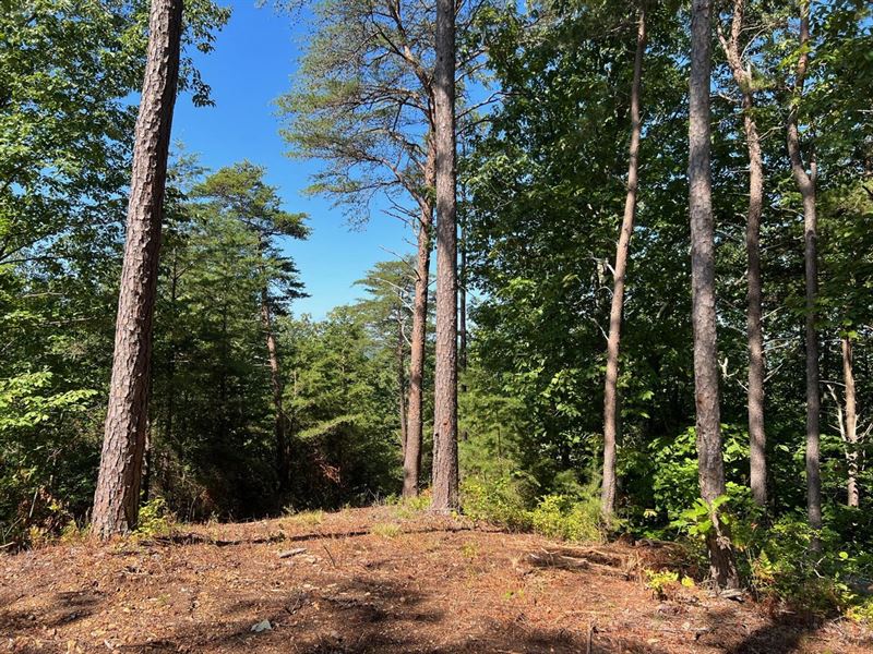 Beautiful 3.72 Acre Lot Overlooking : Waverly : Humphreys County : Tennessee