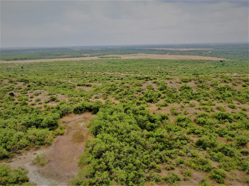 Big 712 Ac, Hunting Ranch Coleman : Voss : Coleman County : Texas