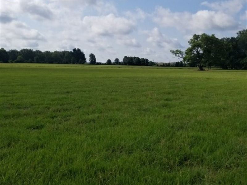 Land in West Carroll Parish : Oak Grove : West Carroll Parish : Louisiana