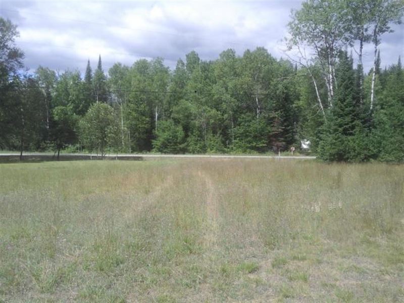 Vacant Land 6 Acres Atlanta MI Land for Sale in Atlanta, Montmorency