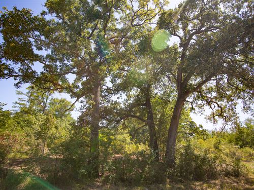 30 Acres, Tract 1, Morgan Spur : Huntsville : Walker County : Texas