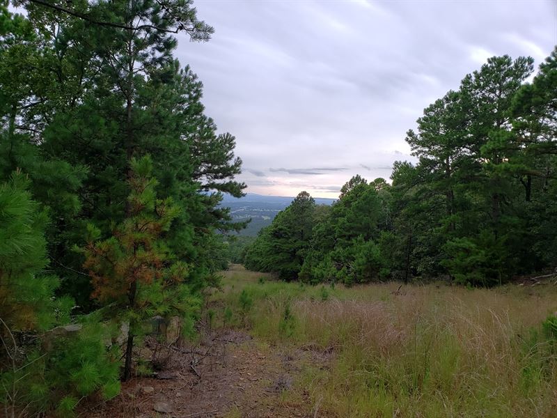 Awesome Little 15 Acres : Panola : Latimer County : Oklahoma