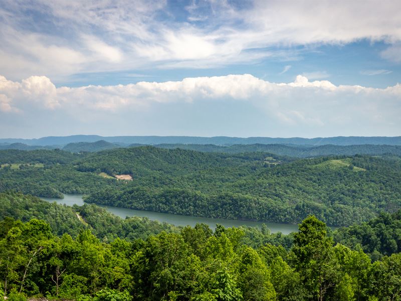 4+ Acre Lot with Norris Lake Views Land for Sale in New Tazewell