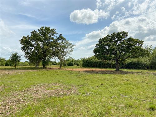 15 Acres Tract 4 Morgan Spur : Huntsville : Walker County : Texas