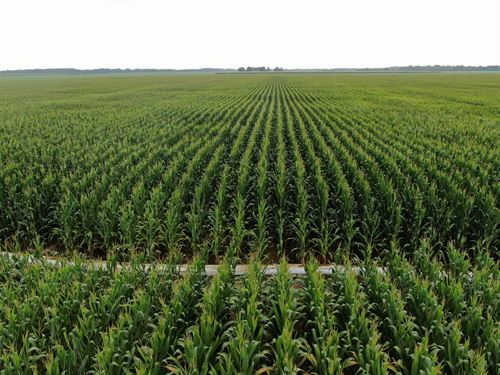 896 Acre Highly Productive Farm : Des Arc : Prairie County : Arkansas