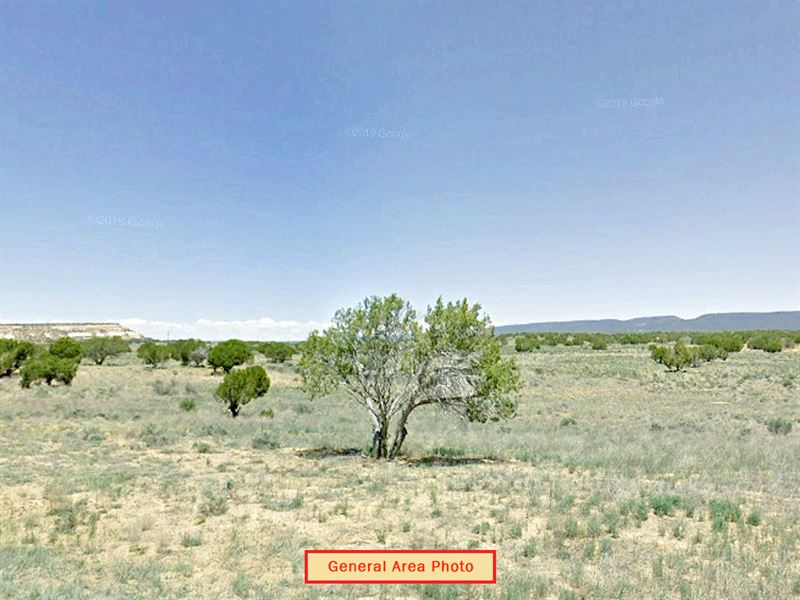 Big Off Grid Property : Pinehill : Cibola County : New Mexico