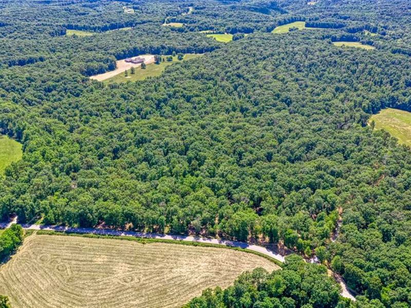 The Sanctuary 15.78 Acre Lot Wit : Franklin : Williamson County : Tennessee