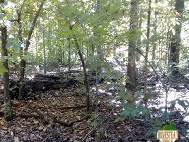 Ozark Acres Community Lot : Wiliford : Sharp County : Arkansas