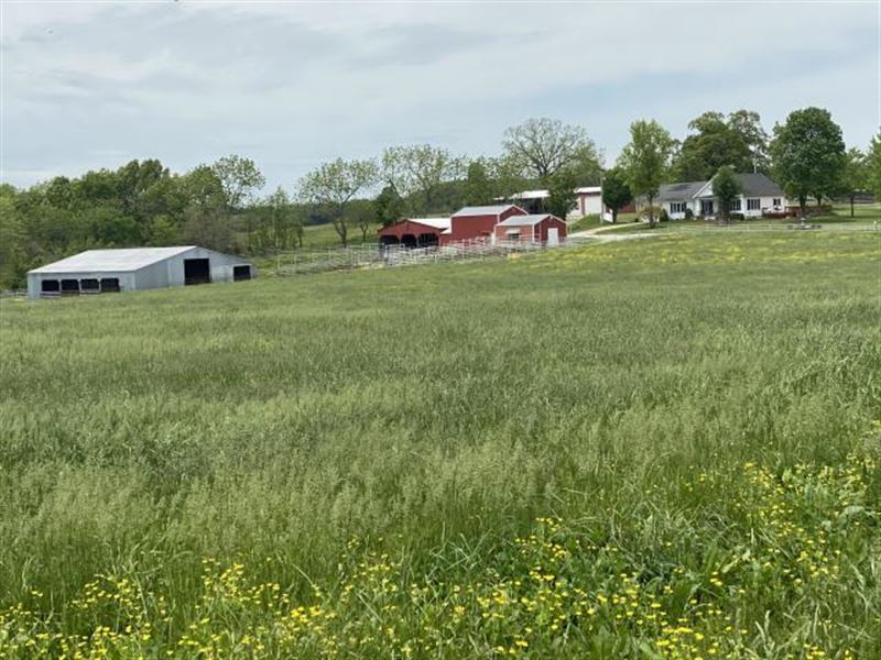 Century Farm on 60 Acres : Ava : Douglas County : Missouri