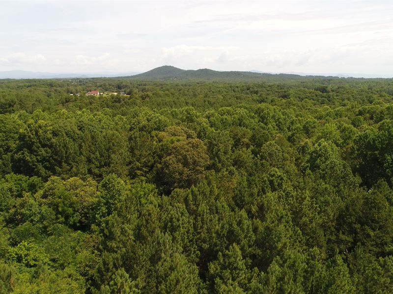 Prime Opportunity in Six Mile : Six Mile : Pickens County : South Carolina