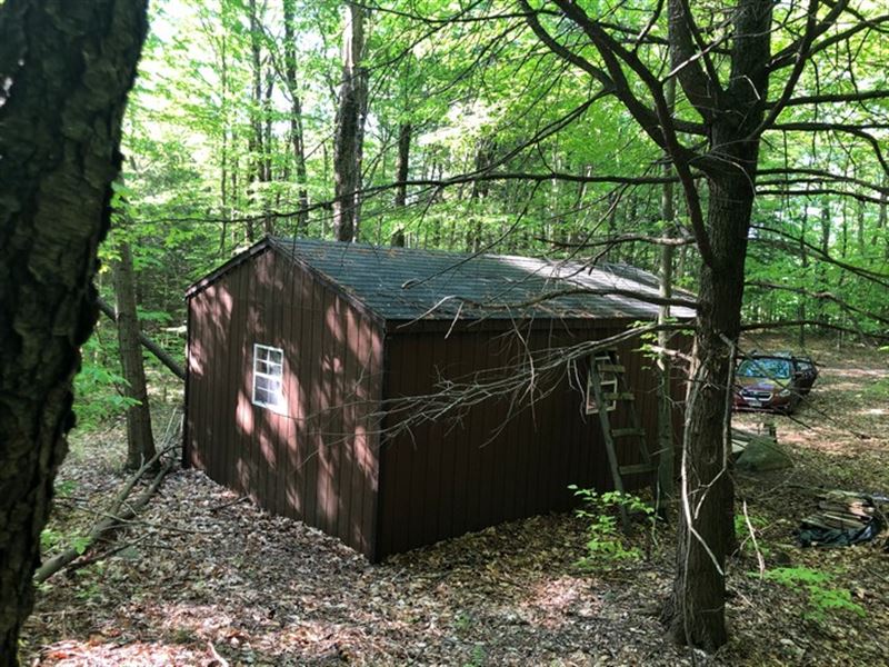 Camp Balsam : Diana : Lewis County : New York