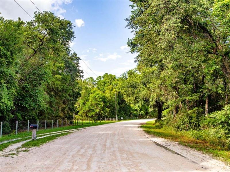 Power Pole, Well, Possible Septic : Old Town : Dixie County : Florida