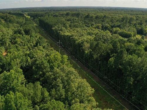 6.5 Acres on Holly Hills Road : Columbus : Lowndes County : Mississippi