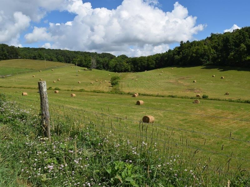 Gorgeous Farm Land in Willis VA : Willis : Floyd County : Virginia