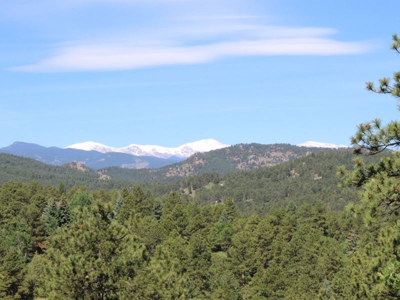 North Turkey Creek Ridge : Morrison : Jefferson County : Colorado