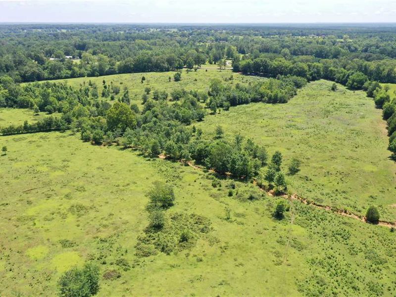 153 Acres Farmland For Sale in Low Land for Sale in Hayneville