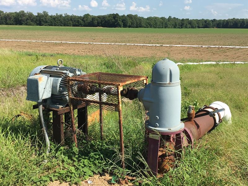 163 Acre Farm : Datto : Clay County : Arkansas