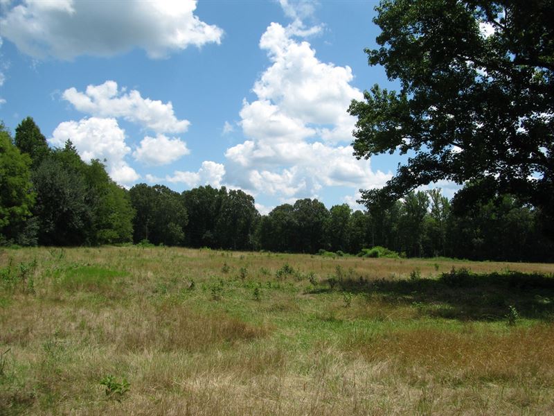 Land Tn, Building Sites, Creek, 21 : Sardis : Hardin County : Tennessee