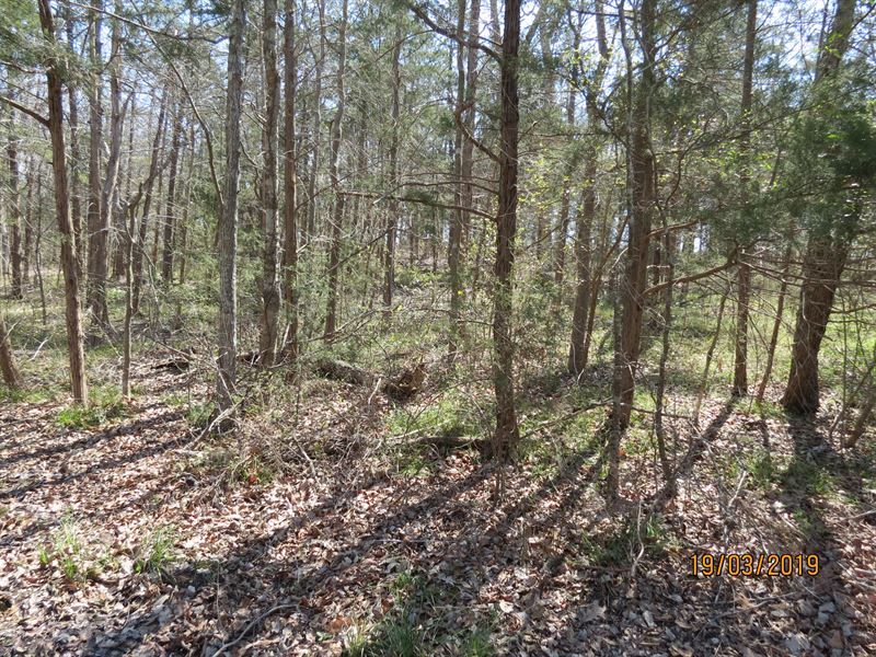 Nice Lake View Lot : Fort Towson : Choctaw County : Oklahoma