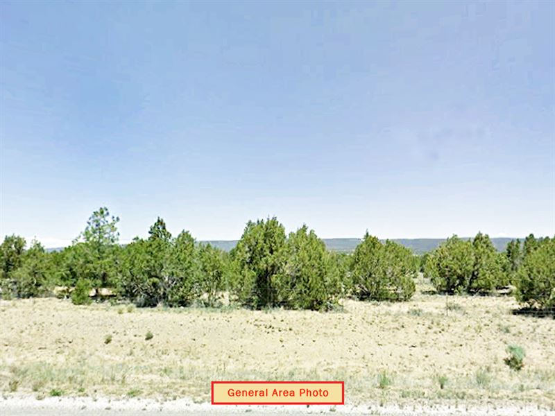 Open Rural Lot : Pinehill : Cibola County : New Mexico