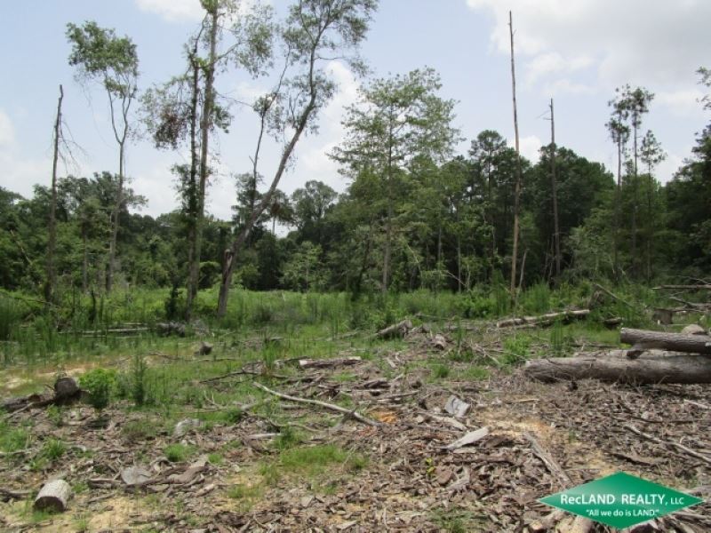 20.89 Ac, Wooded Tract for Home Si : Jasper : Jasper County : Texas
